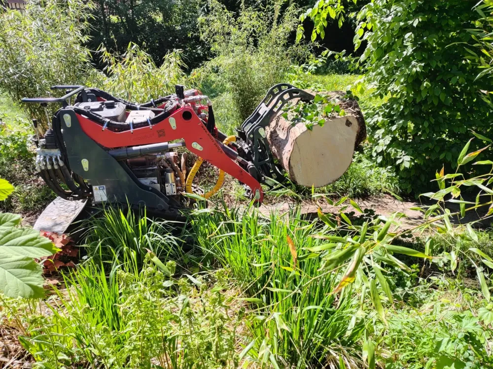 abattage près de Notre-Dame-de-Bondeville