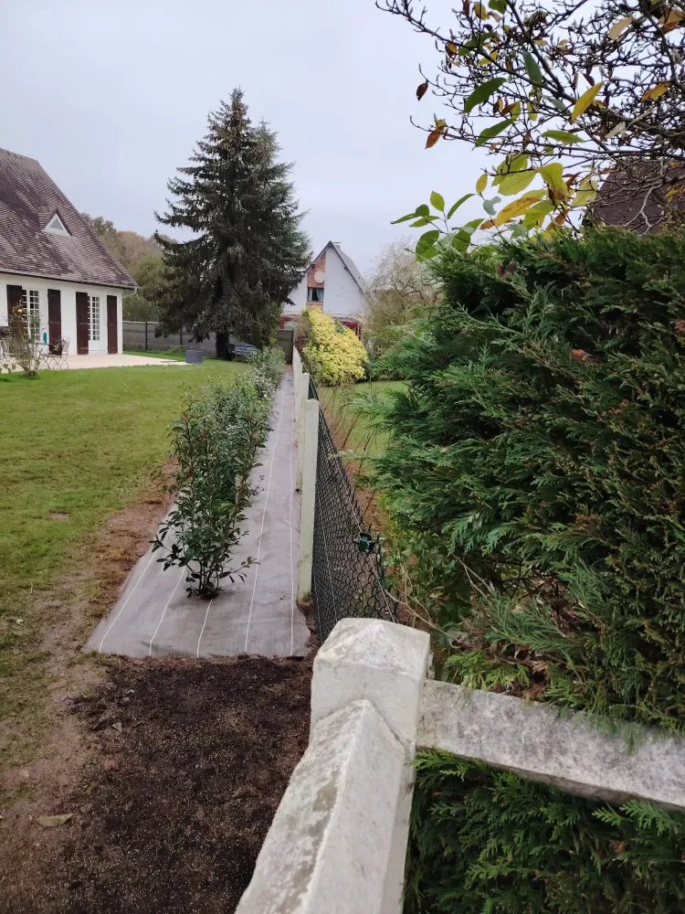Plantation d'arbuste près de Barentin