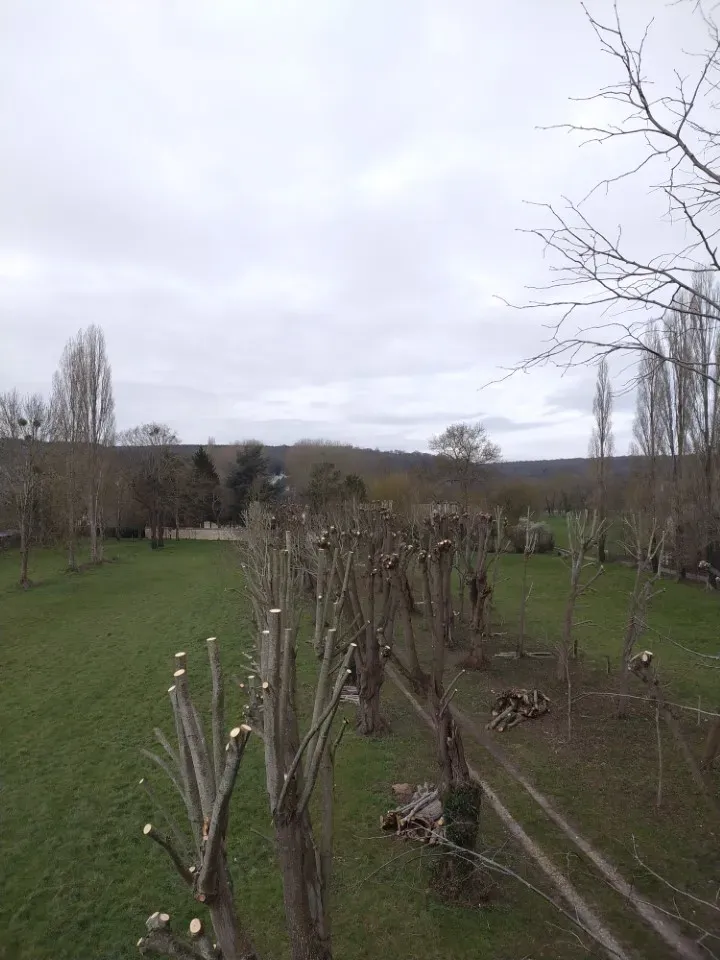 Elagage près de Rouen