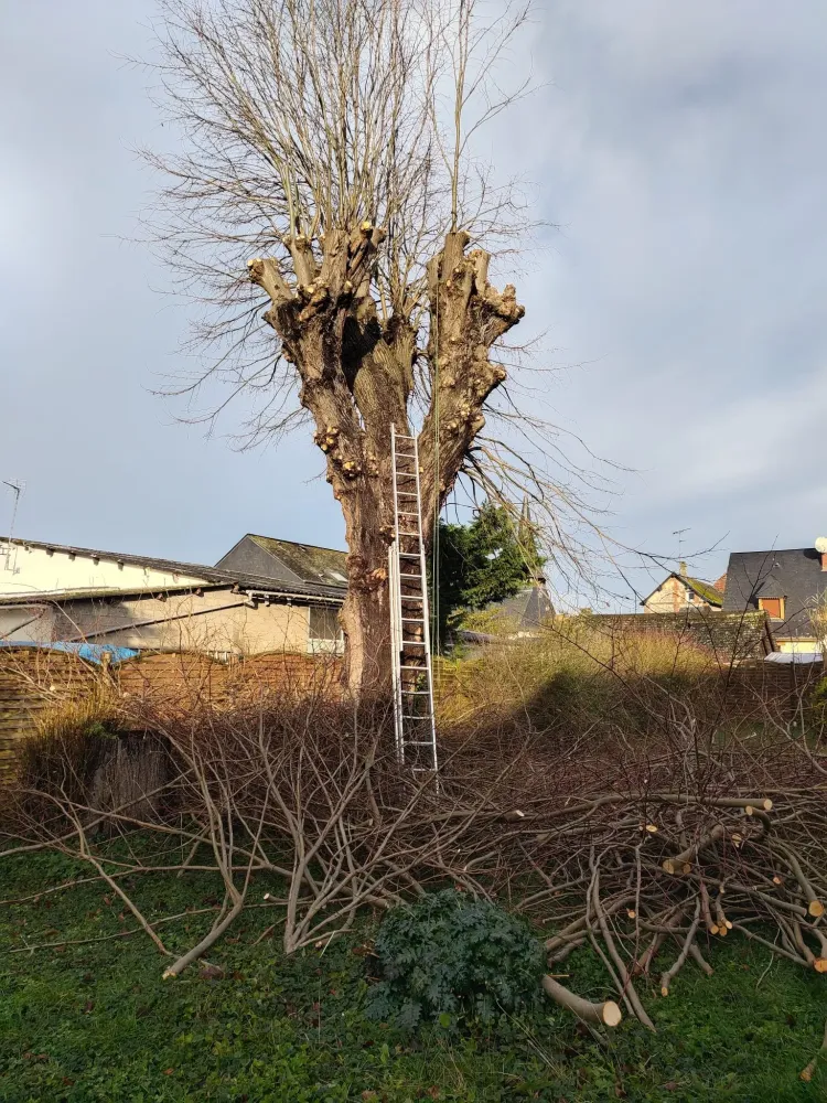 Paysagiste près de Darnétal