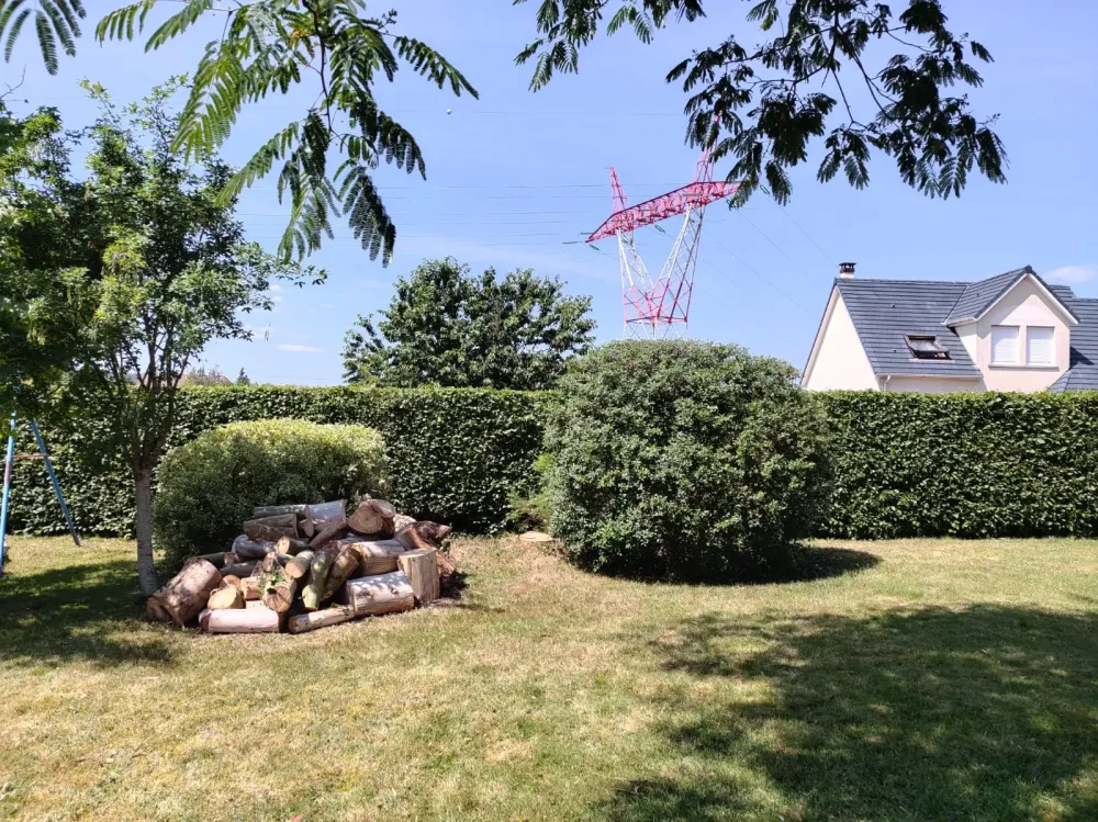 Elagage près de Barentin